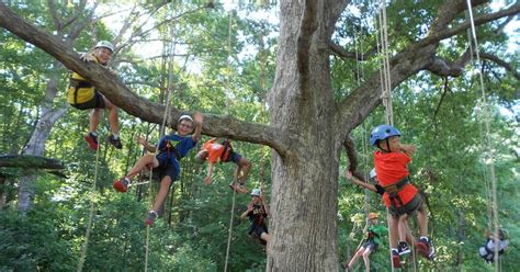 piedmont tree climbing|public tree climbing raleigh nc.